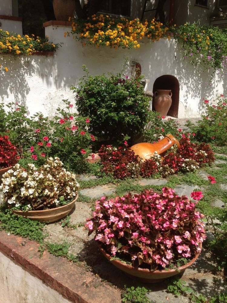 Mediterraneo Bed & Breakfast 阿纳卡普里 外观 照片