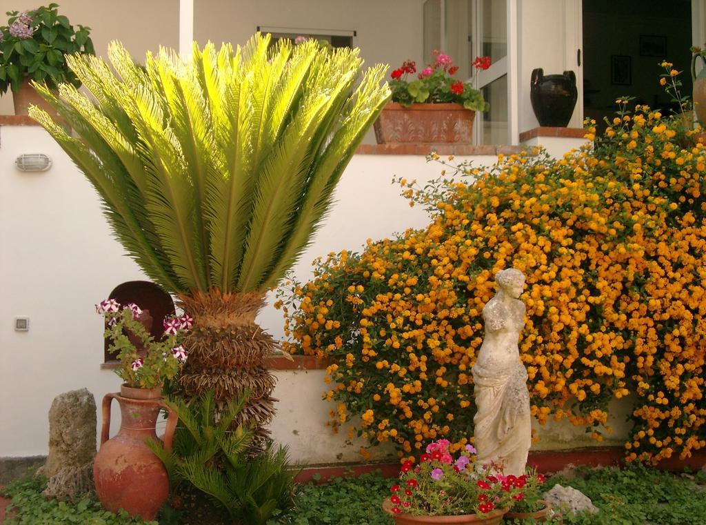 Mediterraneo Bed & Breakfast 阿纳卡普里 外观 照片