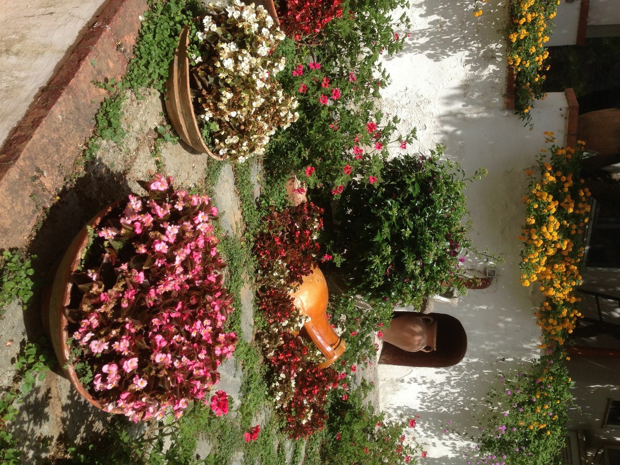 Mediterraneo Bed & Breakfast 阿纳卡普里 外观 照片