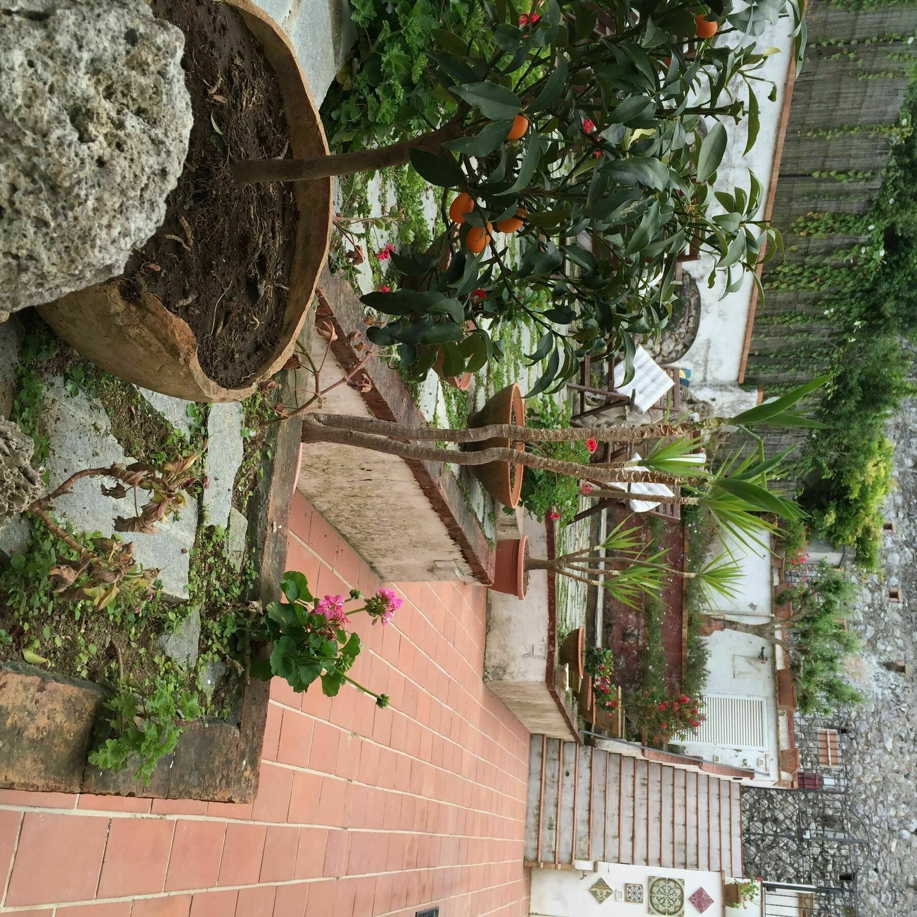 Mediterraneo Bed & Breakfast 阿纳卡普里 外观 照片